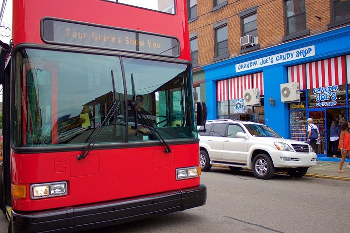 HOP ON-HOP OFF TOUR PASS- All Day Tour Pass - thumb 1