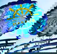 Parasailing Adventure at the Hilton Head Island - Accommodation Los Angeles