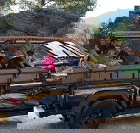 Jeep Bison Safari - Custer State Park - Accommodation Los Angeles