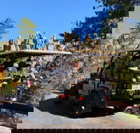 Private - Group Jeep Bison Safari - Sunshine  Fresh Air - Accommodation Los Angeles