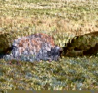 Private Tour - Badlands Delta 9 Missile Museum  Wall Drug - Accommodation Los Angeles