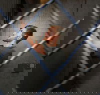 Chattanooga Secret Agent Escape Room Admission Ticket - Accommodation Los Angeles