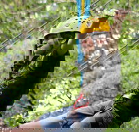 Zipline Canopy Tour - Accommodation Los Angeles