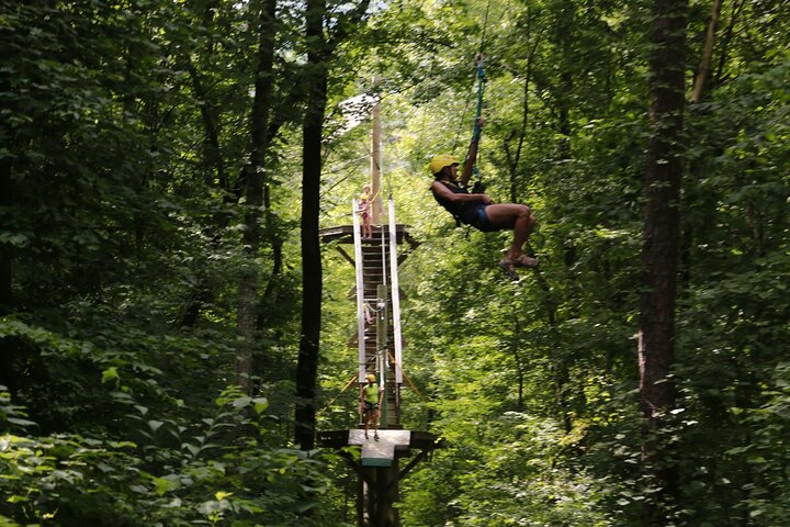 Zipline Canopy Tour - thumb 1