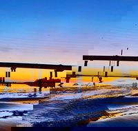 90 Minute Hilton Head Dolphin Tour - Accommodation Los Angeles