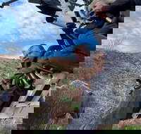 Roller Coaster Tickets with Dinner and Show in Rapid City - Accommodation Los Angeles