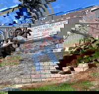 Buffalo Hunt Coaster in South Dakota - Accommodation Los Angeles