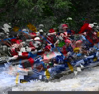 White Water Rafting Experience on the Upper Pigeon River - Accommodation Los Angeles