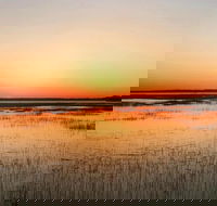 Private Hilton Head Sunset Dolphin Tour - Accommodation Los Angeles