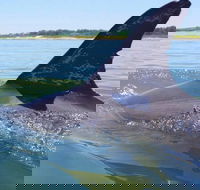 Hilton Head Jet Ski Adventure - Accommodation Los Angeles