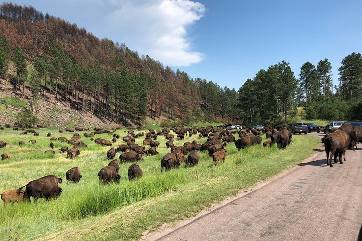 Private Mt Rushmore & Southern Black Hills Tour - thumb 2
