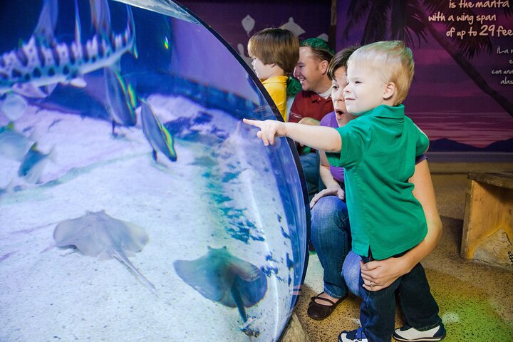 SEA LIFE Aquarium Grapevine Admission Ticket - thumb 1