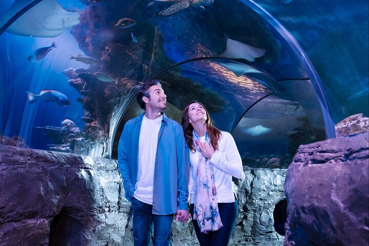 SEA LIFE Aquarium Grapevine Admission Ticket - thumb 5