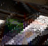 Cosmos Mystery Area Admission - Accommodation Los Angeles