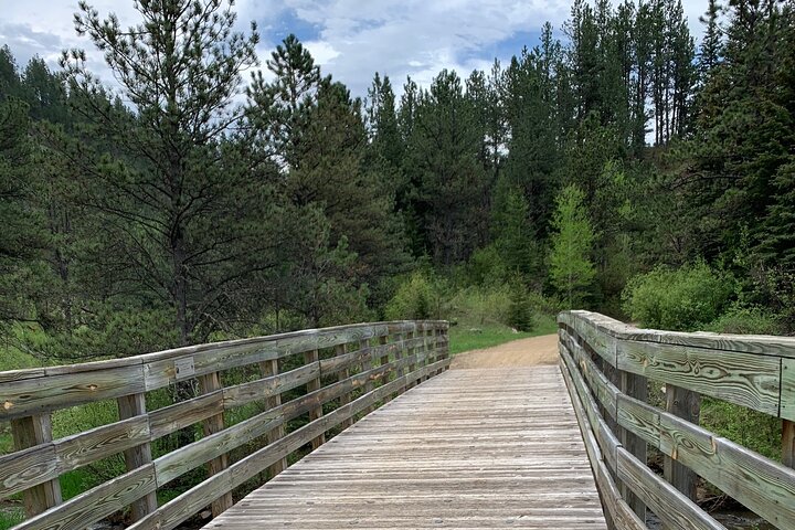 Private Mickelson Trail Bike Tour - thumb 1