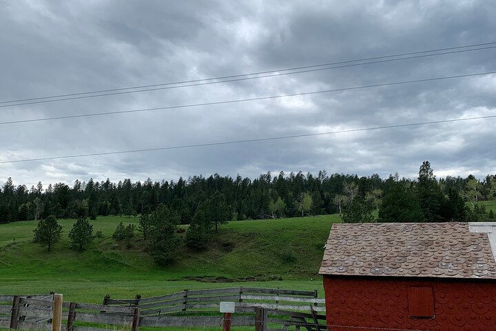 Private Mickelson Trail Bike Tour - thumb 3