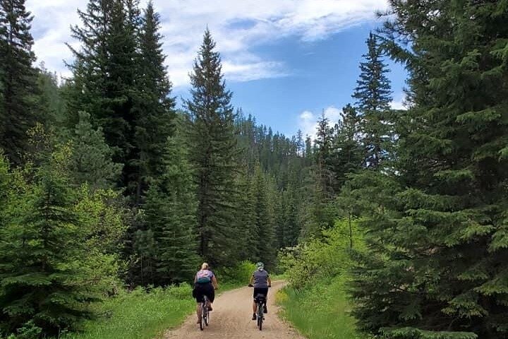 Private Mickelson Trail Bicycling Tour - thumb 4