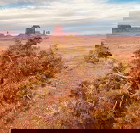 Monument Valley Backcountry Tour - Accommodation Los Angeles