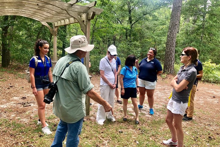 Naturalist-Guided Forest Walk for GROUPS of 10-16