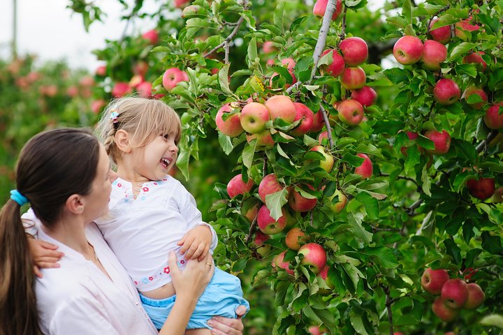 Autumn is in the Air for GROUPS of 10-16