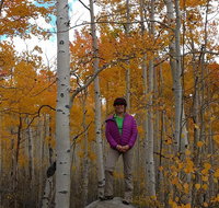 Mountain Hikes in The Wasatch Mountains - Accommodation Los Angeles
