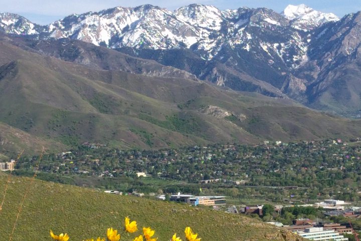 Mountain Hikes In The Wasatch Mountains - thumb 1