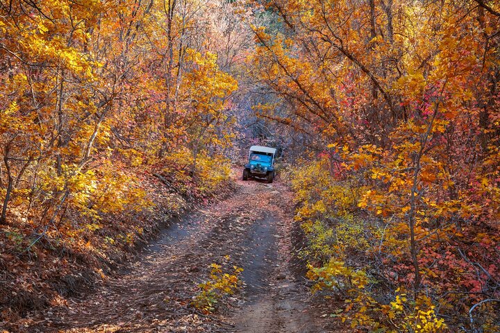 East Zion Brushy Cove Jeep Tour - thumb 0