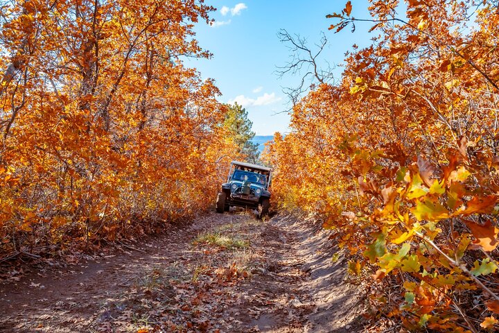 East Zion Brushy Cove Jeep Tour - thumb 3