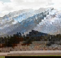 Mountain View E-Bike Experience - Accommodation Los Angeles