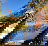 Scenic Guided Motorcycle Tours by MotoPlaN8 Handlebars - Accommodation Los Angeles