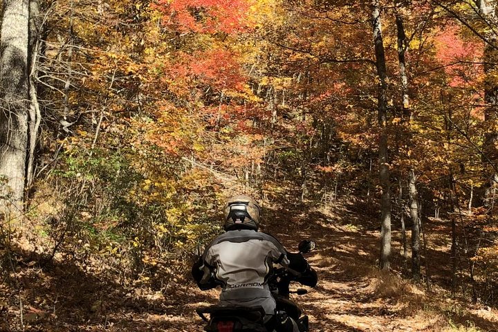 Scenic Guided Motorcycle Tours By MotoPlaN8 Handlebars - thumb 3