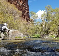 Guided Fly Fishing Experience - Accommodation Los Angeles