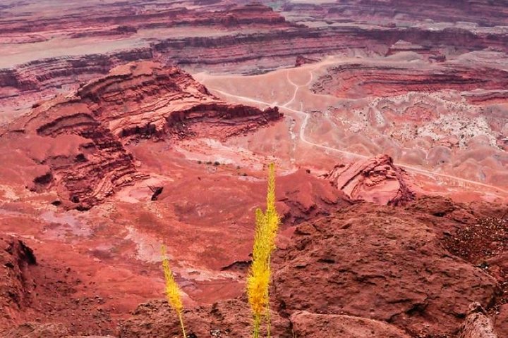 Canyonlands National Park Backcountry 4x4 Adventure From Moab - thumb 1