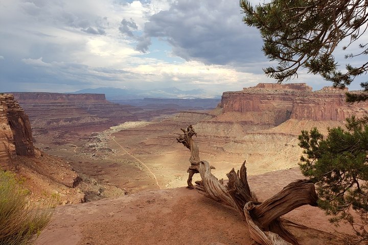 Canyonlands National Park Backcountry 4x4 Adventure From Moab - thumb 5