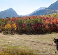 Private Photo Workshop and Sightseeing in Wasatch Mountains - Accommodation Los Angeles
