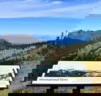 Hurricane Ridge Guided Tour in Olympic National Park - Accommodation Los Angeles