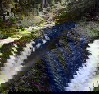 Sol Duc Falls Guided Tour in Olympic National Park - Accommodation Los Angeles