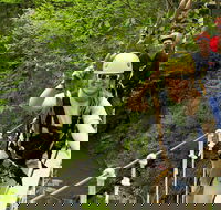 New River Gorge Zip Line Canopy Tour - Accommodation Los Angeles