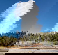 Full-Day Private Safari of Yellowstone - Accommodation Los Angeles