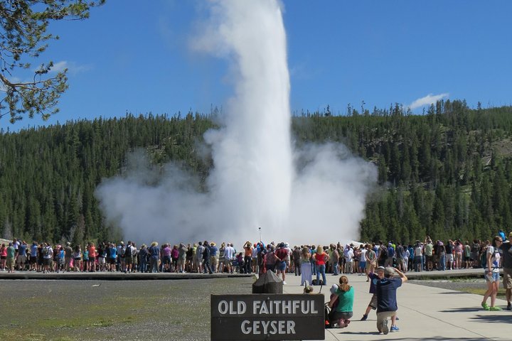 Yellowstone National Park - PRIVATE Full-Day Lower Loop Tour From Jackson Hole - thumb 2