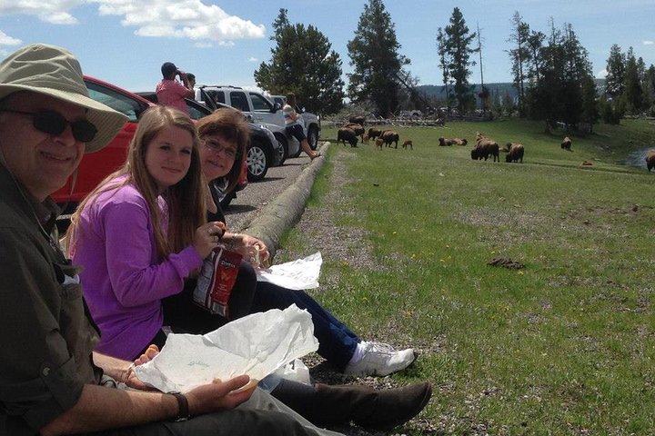 Yellowstone National Park - PRIVATE Full-Day Lower Loop Tour From Jackson Hole - thumb 4