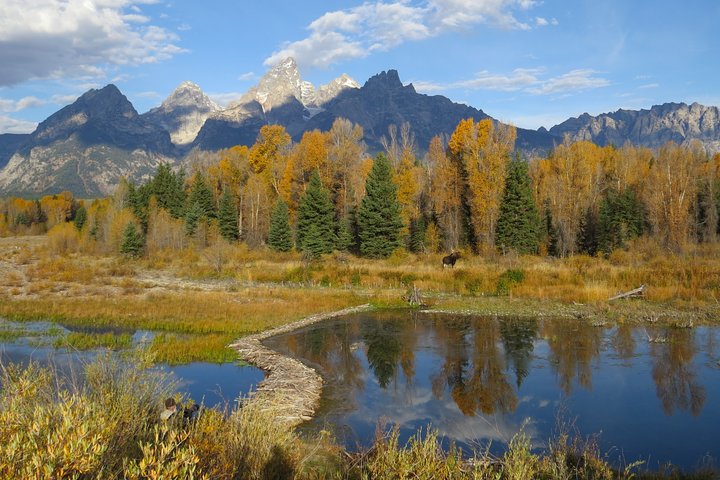 Grand Teton National Park - PRIVATE Sunset Tour From Jackson Hole - thumb 4