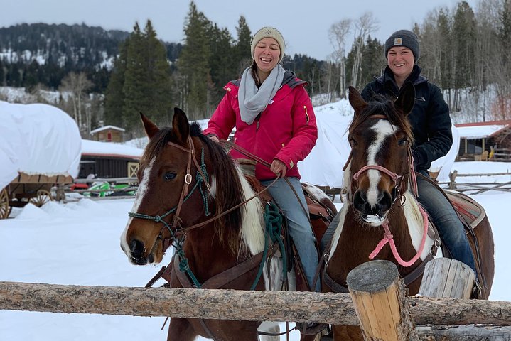 Jackson Hole Dog Sledding Adventure - thumb 1