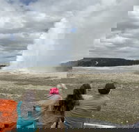 Yellowstone Open Air Tours by Cody Wyoming Adventures - Accommodation Los Angeles