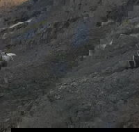 Yellowstones Upper Loop Tour smaller group sizes for better tour experience - Accommodation Los Angeles