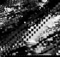 Genteel and Bard's Savannah Dark History and Ghost Walking Tour - Accommodation Los Angeles