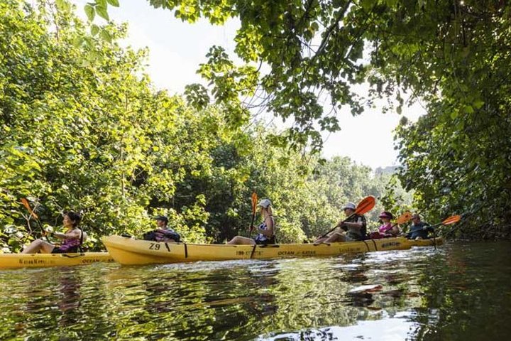 Wailua River Kayak And Sacred Fall Hike Adventure - thumb 0