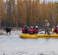 Half-Day Snake River Scenic Float Trip from Jackson - Accommodation Los Angeles