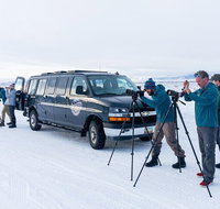 Sunrise 4-Hour Grand Teton Wildlife Adventure - Accommodation Los Angeles