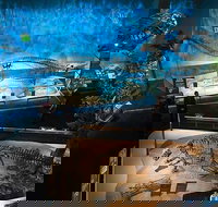 Dallas CityPASS - Accommodation Los Angeles